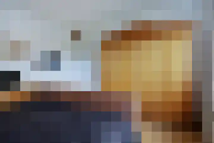 Timorlaan 1 A Den Helder thumbnail 18