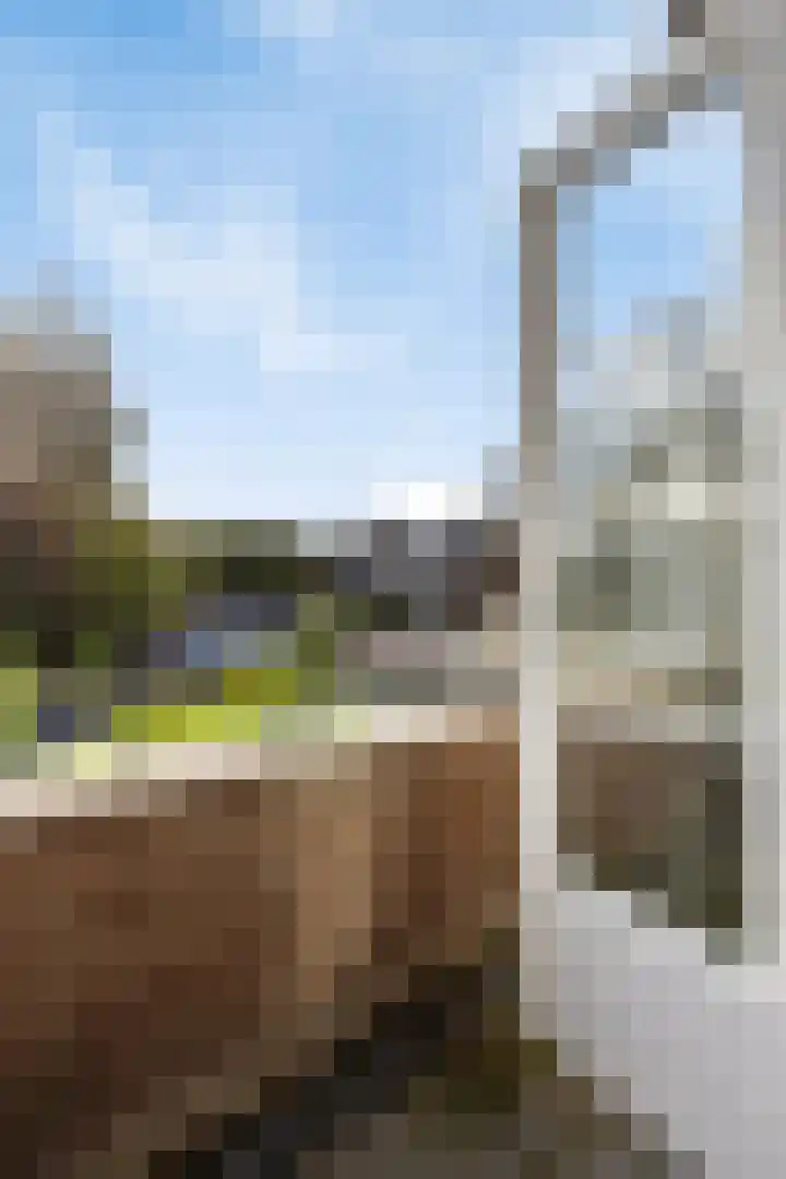 Timorlaan 1 A Den Helder thumbnail 24