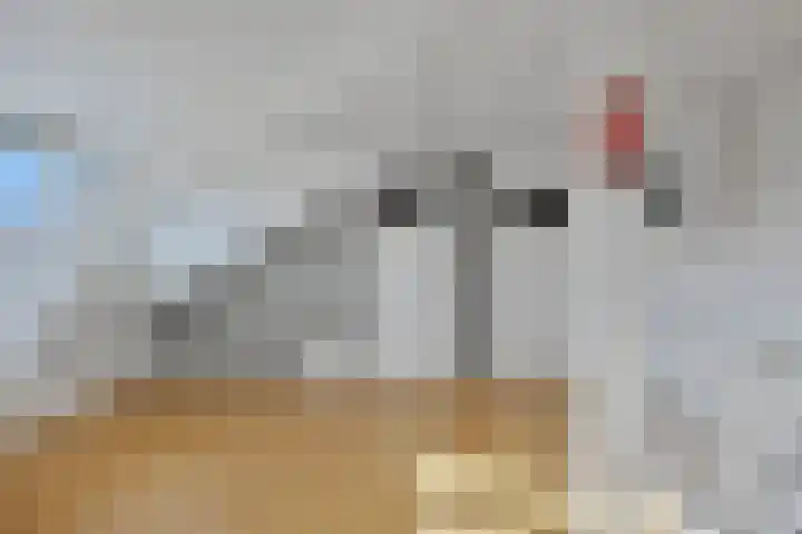 Timorlaan 1 A Den Helder thumbnail 27