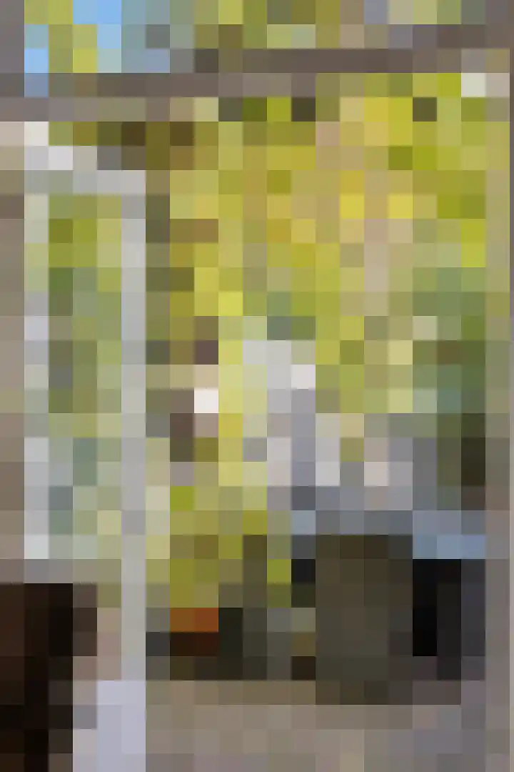 Timorlaan 1 A Den Helder thumbnail 33