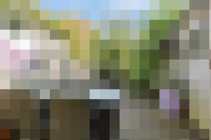 Timorlaan 1 A Den Helder thumbnail 34
