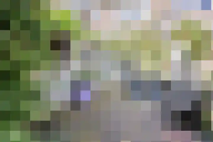 Timorlaan 1 A Den Helder thumbnail 35