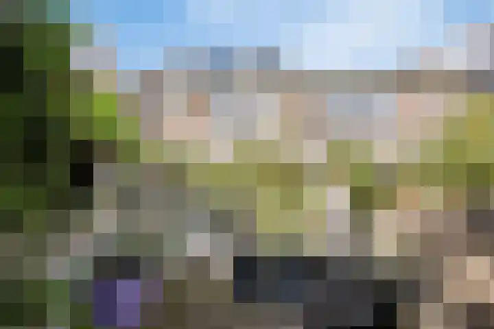 Timorlaan 1 A Den Helder thumbnail 36