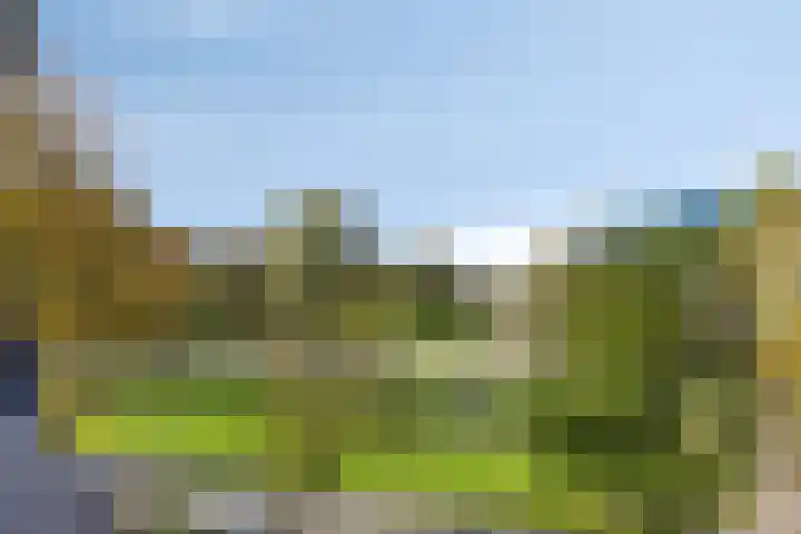 Timorlaan 1 A Den Helder thumbnail 39