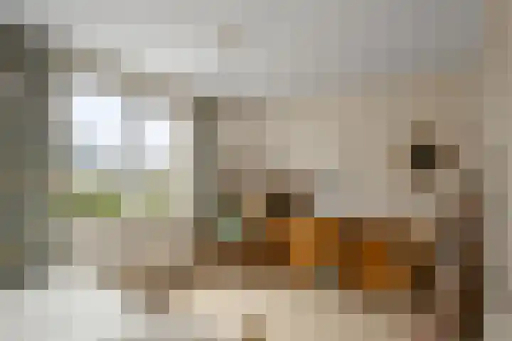 Timorlaan 12 Den Helder thumbnail 19