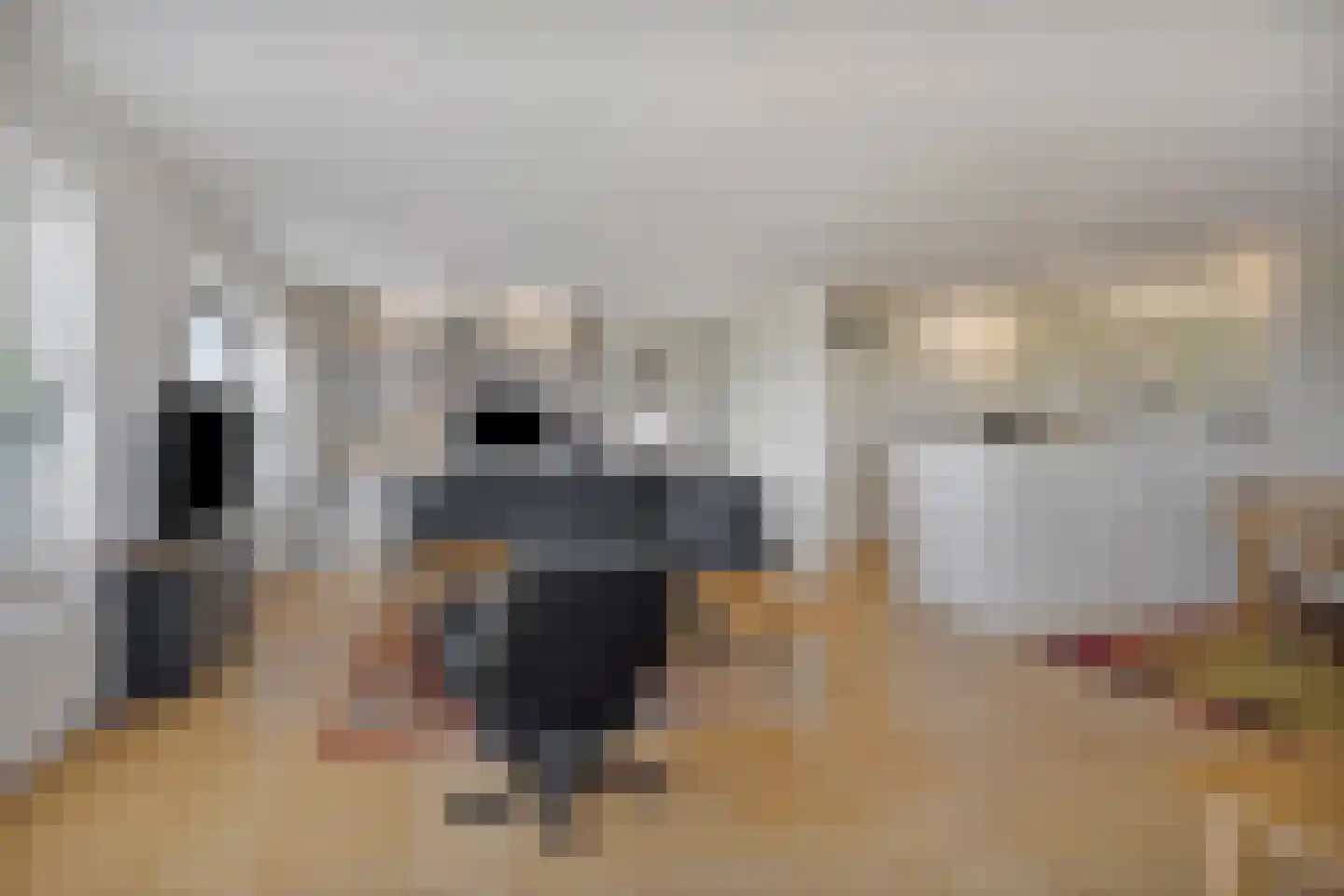 Timorlaan 121 Den Helder thumbnail 16