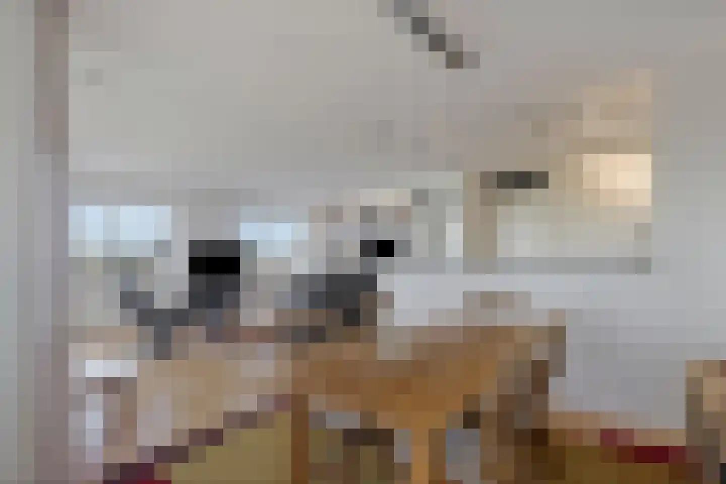 Timorlaan 121 Den Helder thumbnail 20