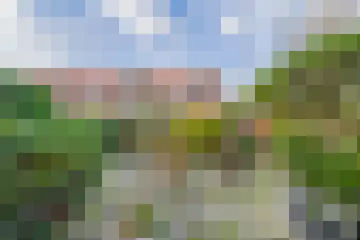 Timorlaan 175 Den Helder thumbnail 10