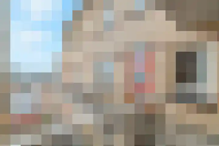 Timorlaan 223 Den Helder thumbnail 19