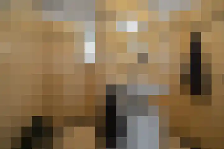 Timorlaan 23 Den Helder thumbnail 26