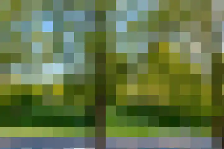 Timorlaan 23 Den Helder thumbnail 34