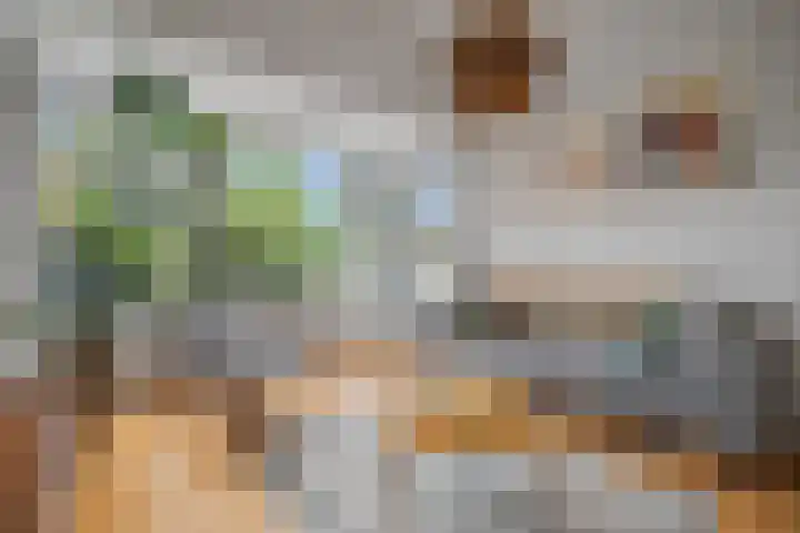 Timorlaan 23 Den Helder thumbnail 7