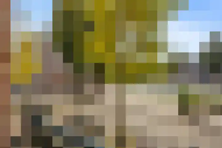 Timorplein 13 3 Amsterdam thumbnail 6
