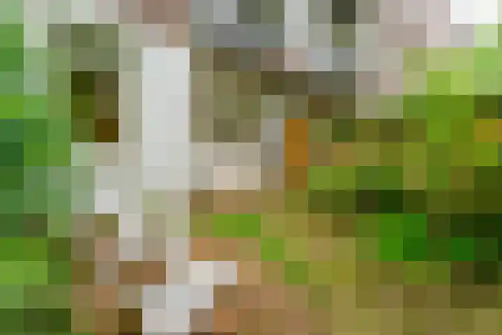 Timorplein 17 2 Amsterdam thumbnail 13