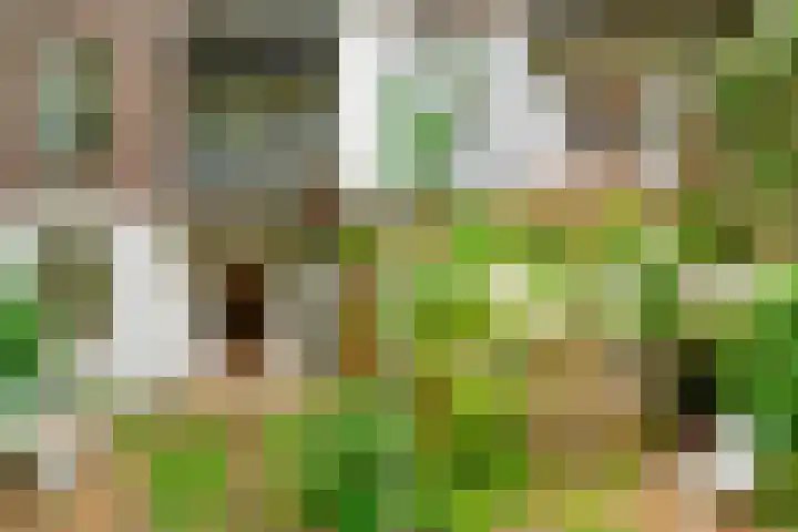 Timorplein 17 2 Amsterdam thumbnail 15