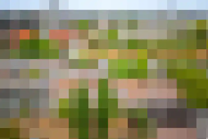 Timorplein 17 2 Amsterdam thumbnail 31