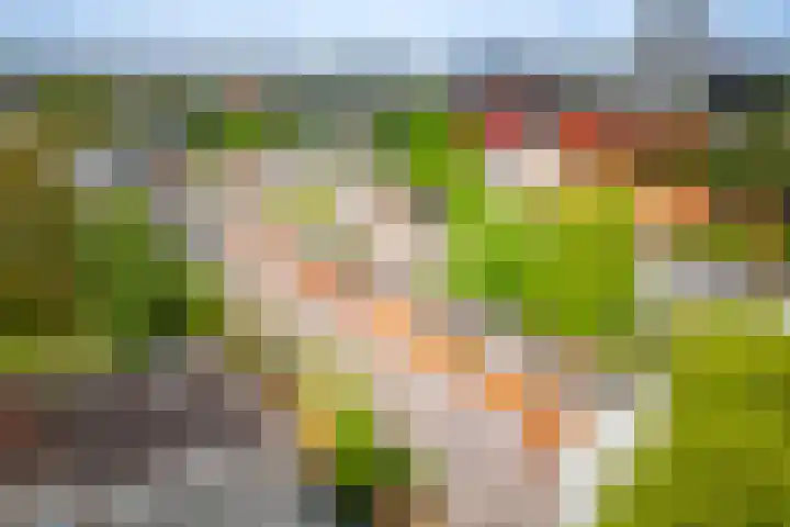 Timorplein 17 2 Amsterdam thumbnail 32