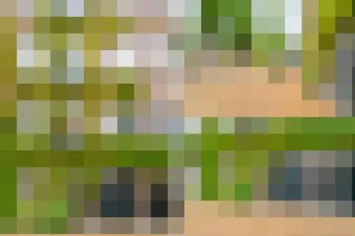 Timorplein 17 2 Amsterdam thumbnail 33