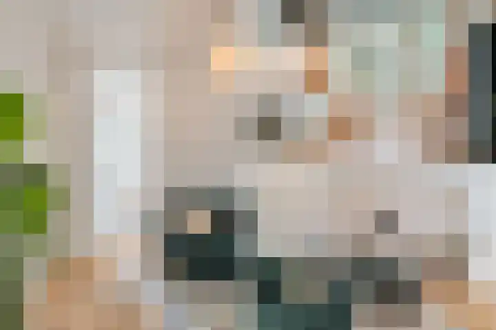 Timorplein 17 2 Amsterdam thumbnail 9
