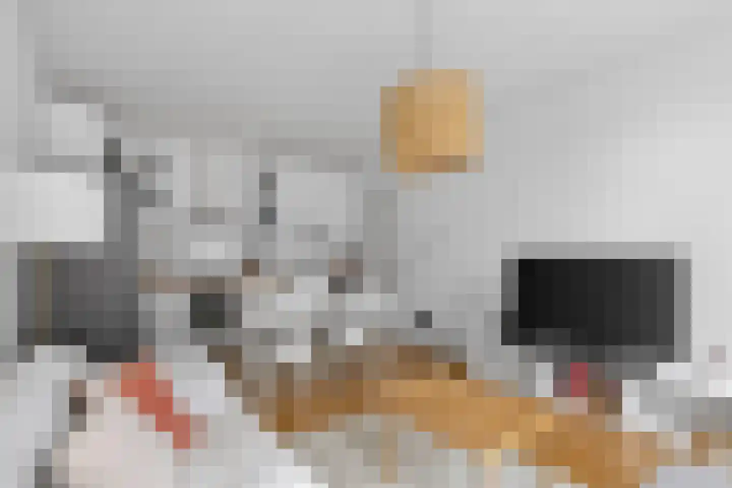 Timorstraat 1 H Amsterdam thumbnail 9