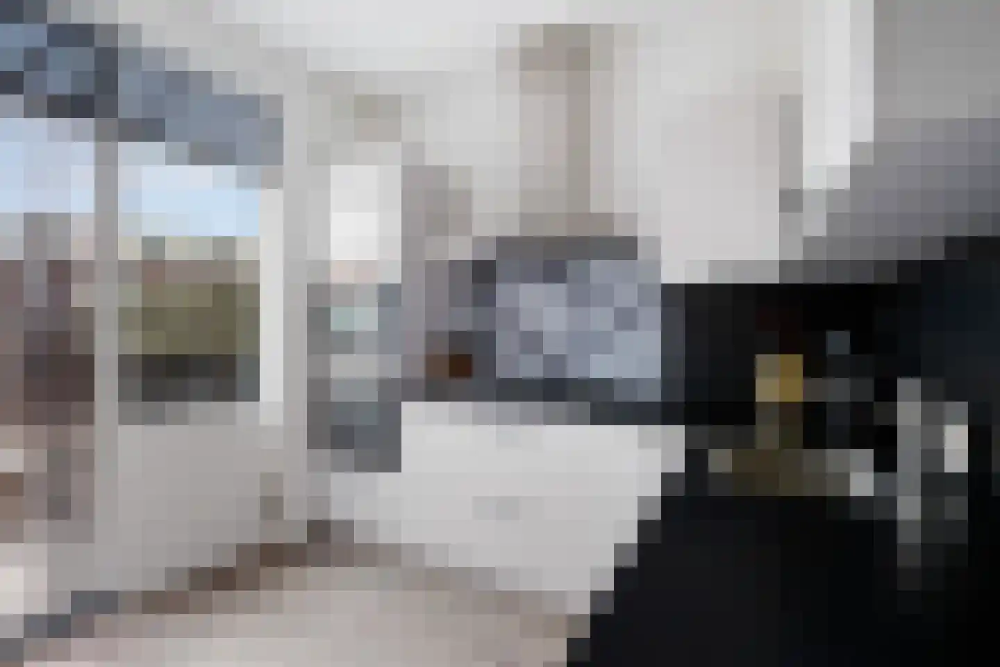 Timorstraat 11 Dordrecht thumbnail 18