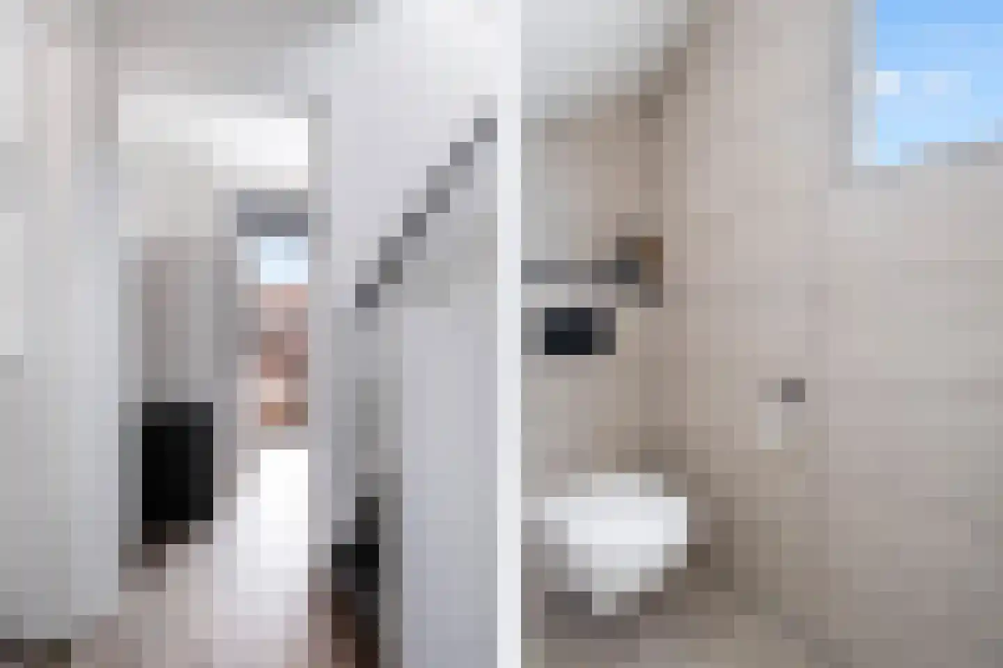 Timorstraat 11 Dordrecht thumbnail 9