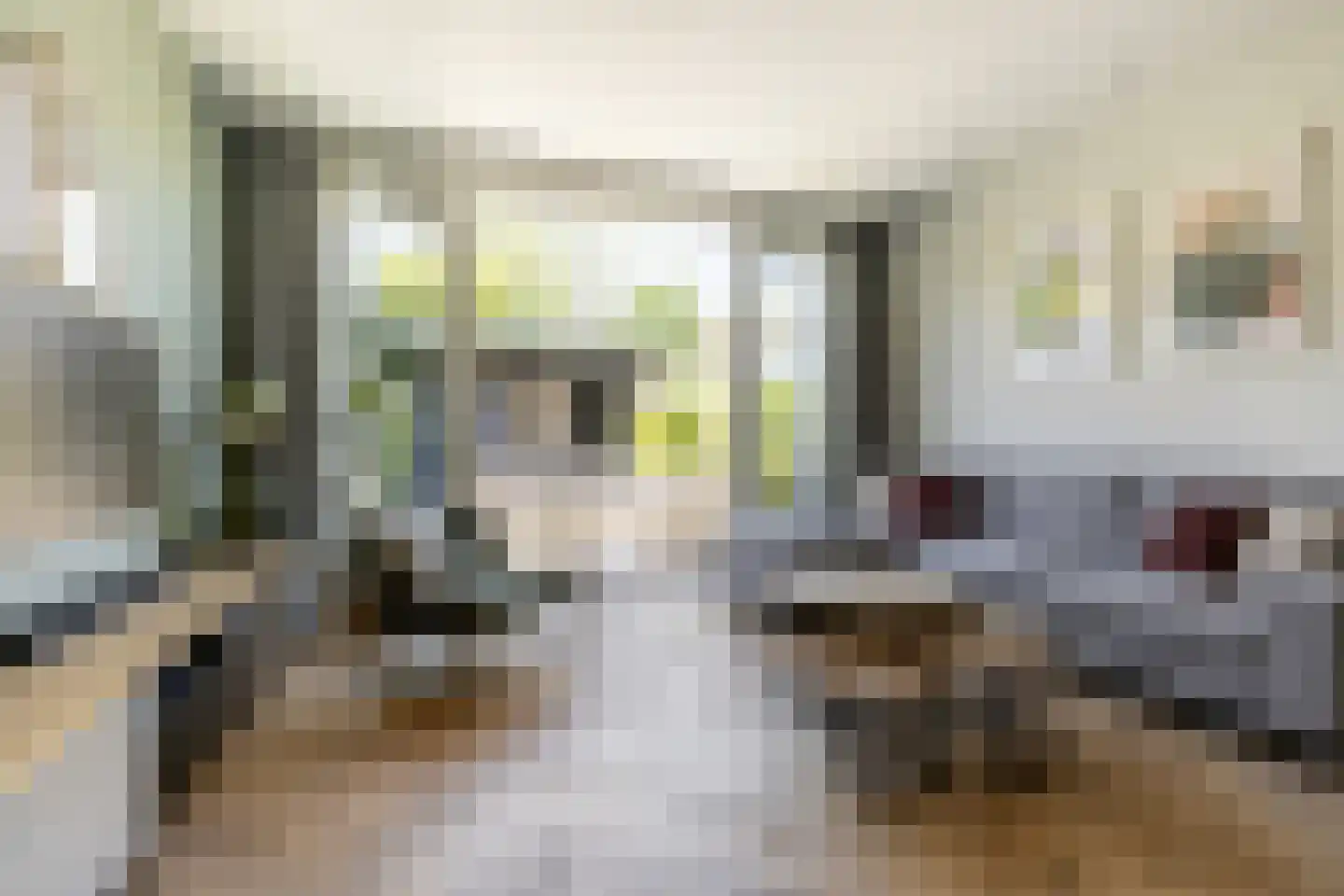 Timorstraat 121 Haarlem thumbnail 10