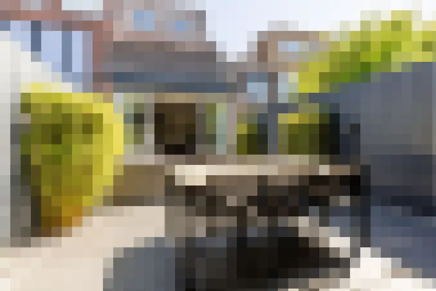 Timorstraat 121 Haarlem thumbnail 16