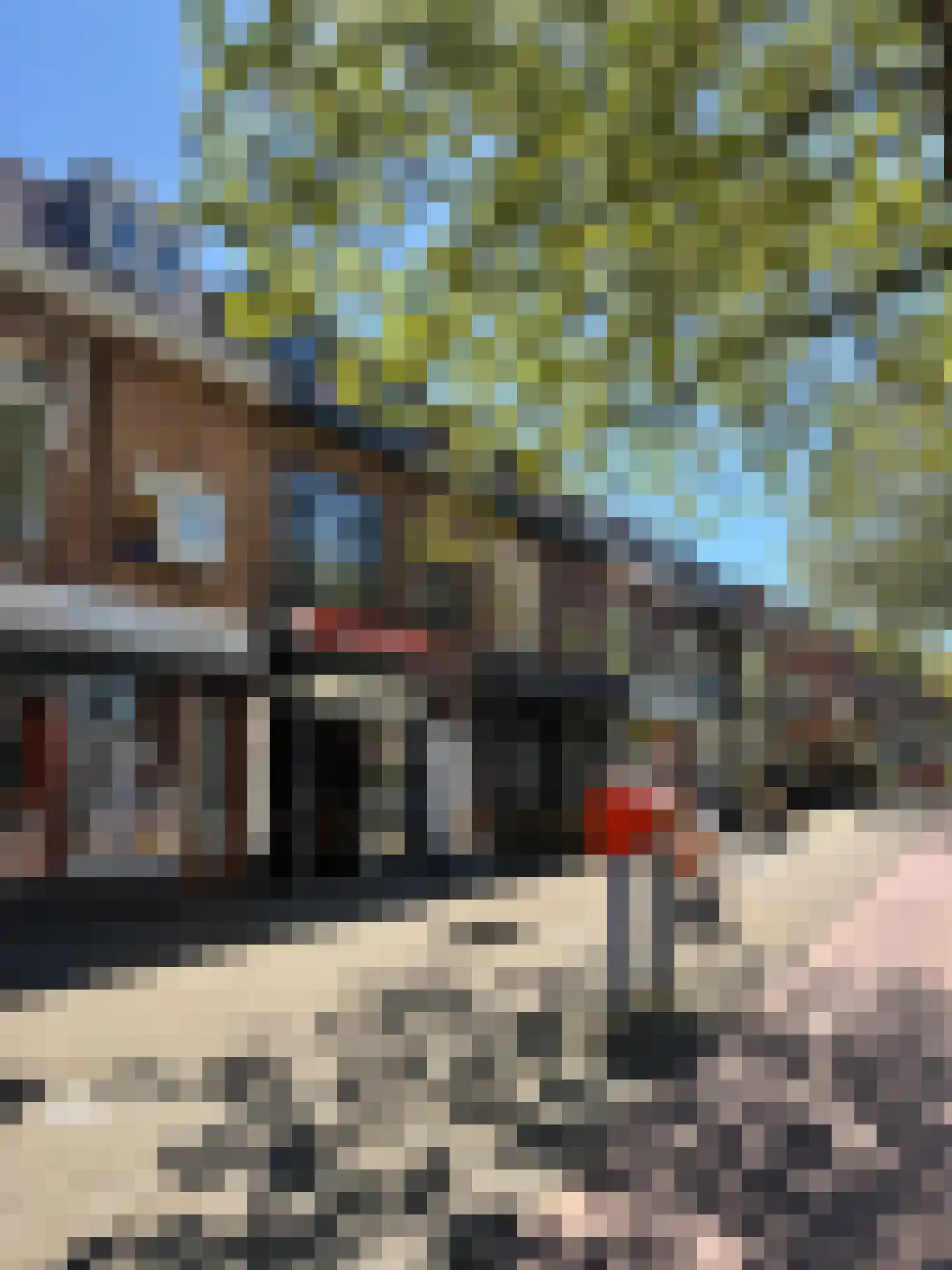 Timorstraat 121 Haarlem thumbnail 36