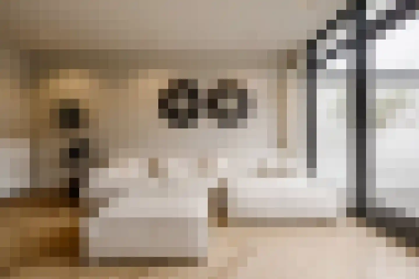 Timorstraat 125 Haarlem thumbnail 10