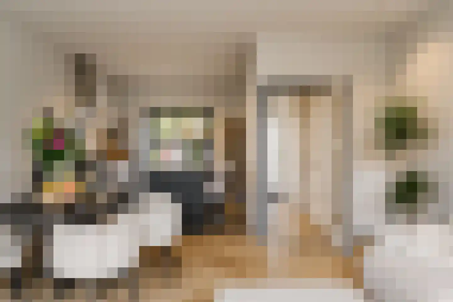 Timorstraat 125 Haarlem thumbnail 12