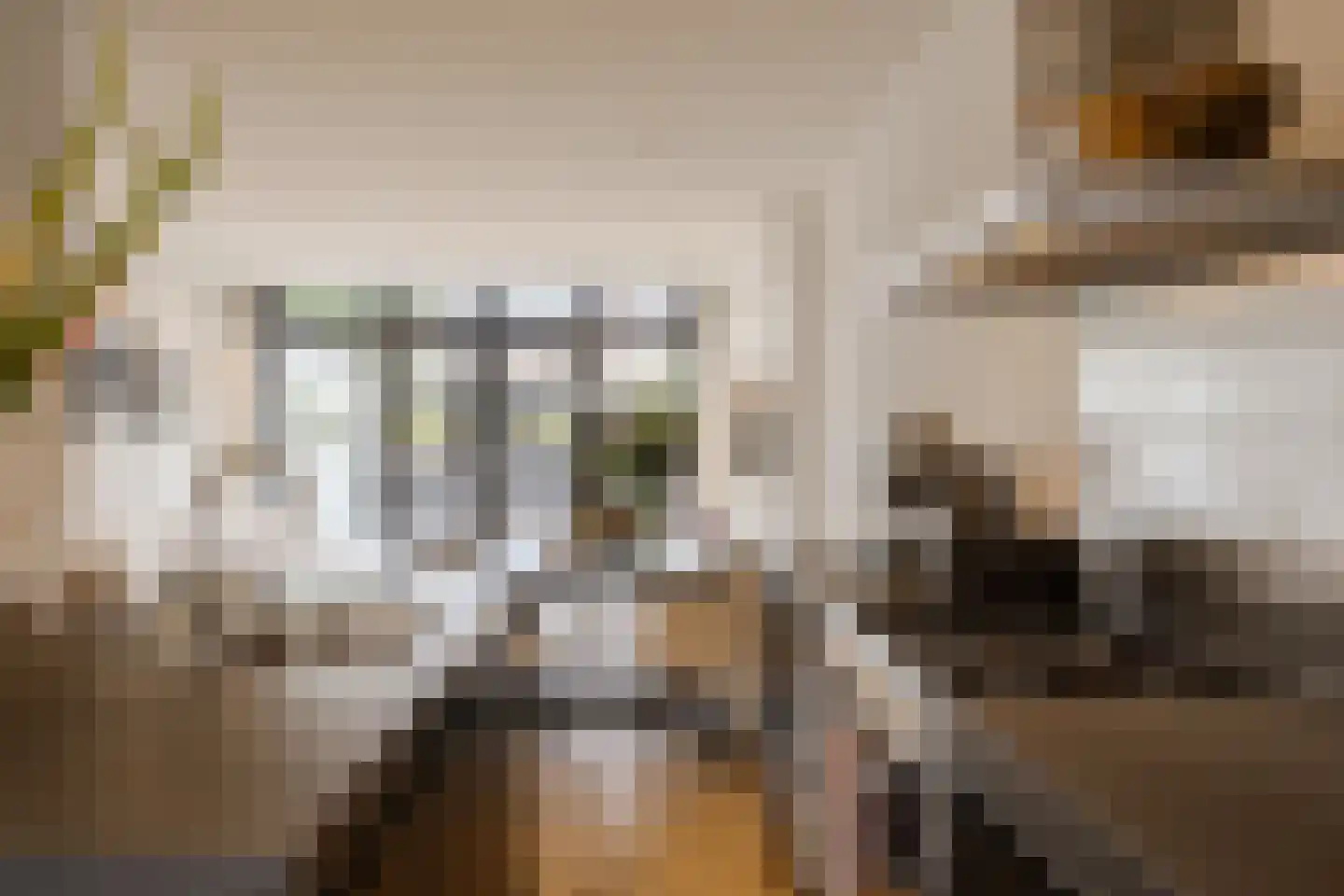Timorstraat 125 Haarlem thumbnail 15