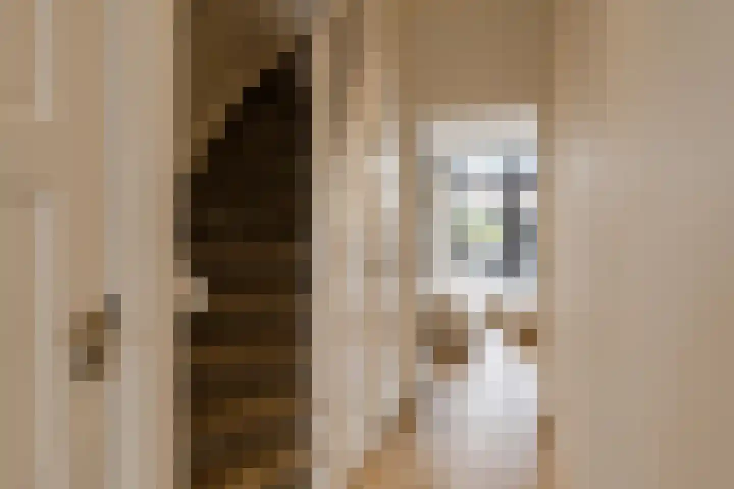 Timorstraat 125 Haarlem thumbnail 19