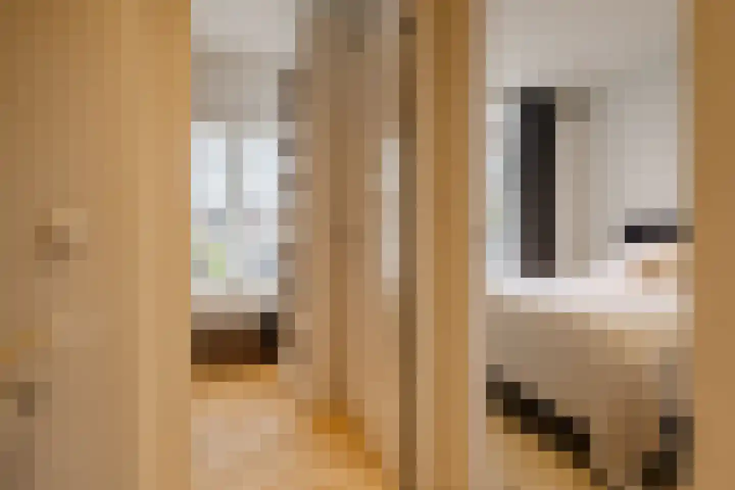 Timorstraat 125 Haarlem thumbnail 20
