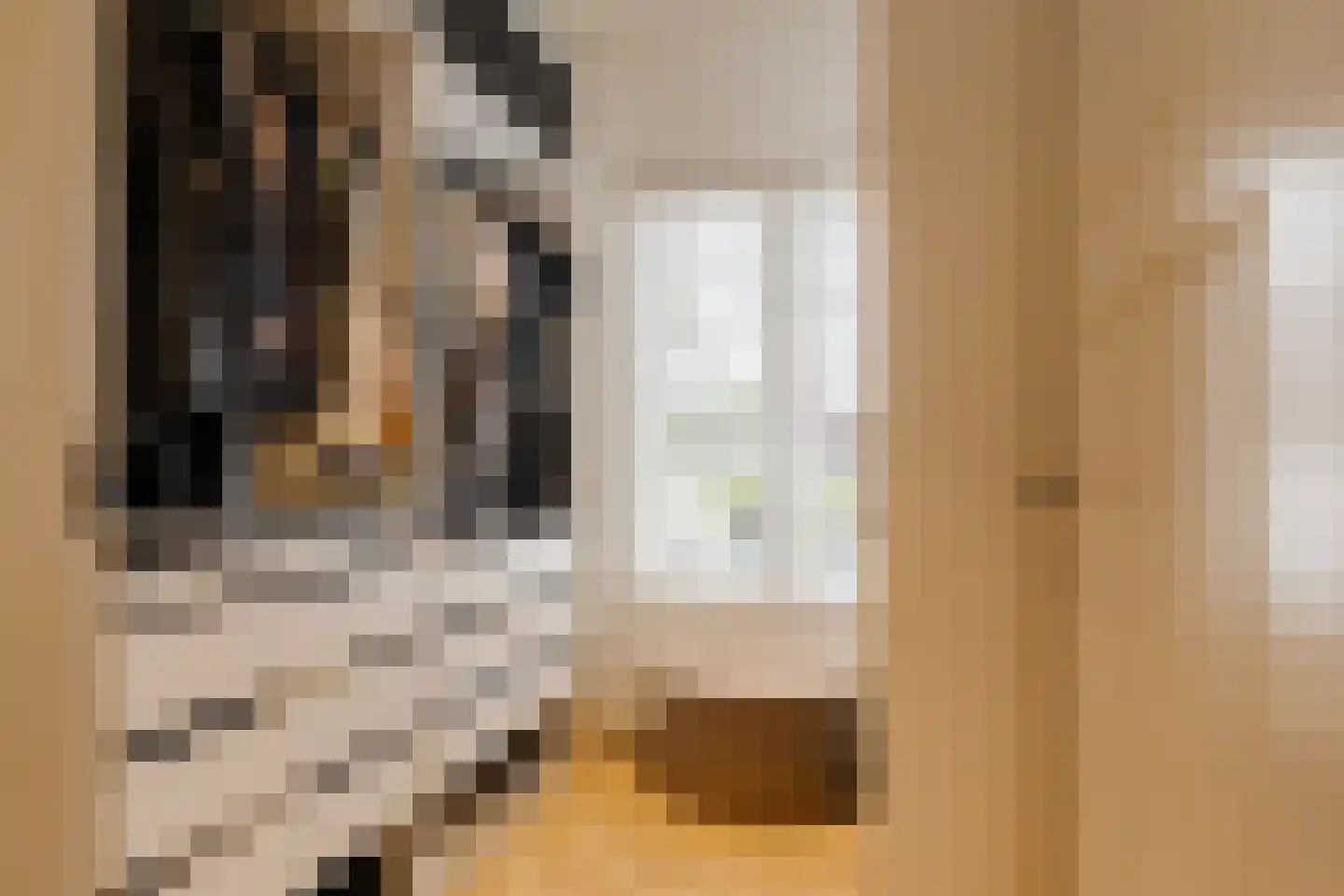 Timorstraat 125 Haarlem thumbnail 21