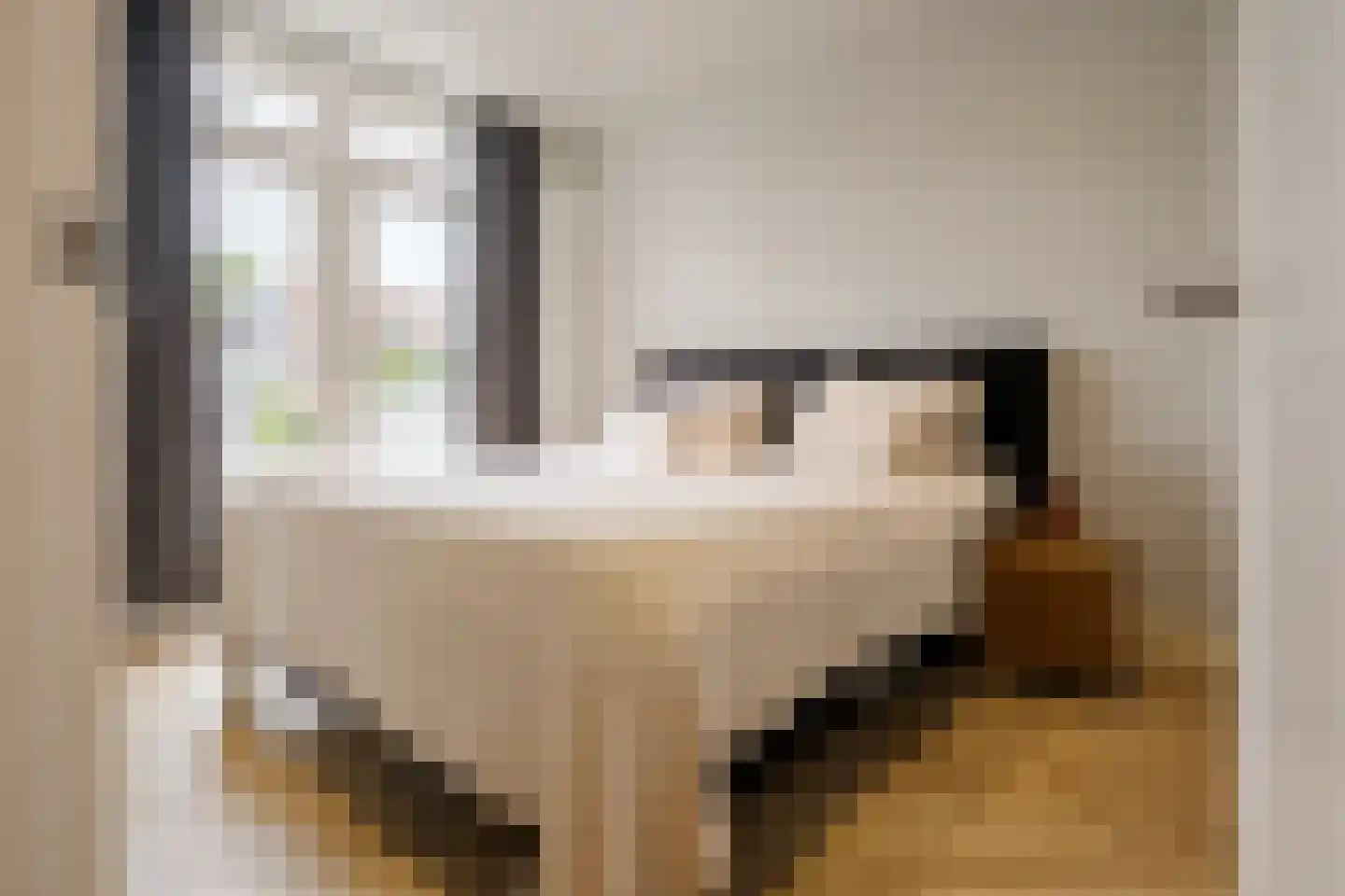 Timorstraat 125 Haarlem thumbnail 23