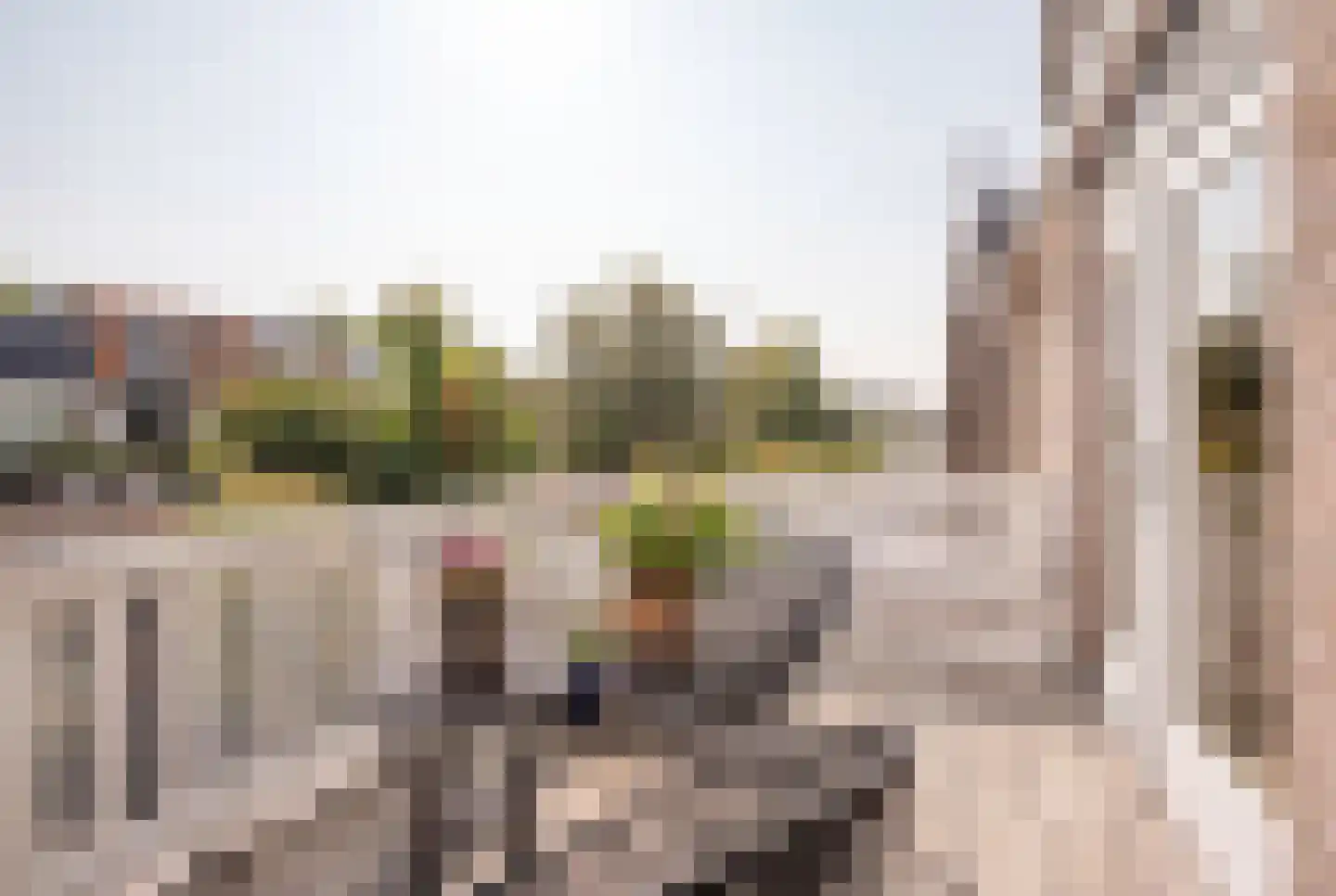 Timorstraat 125 Haarlem thumbnail 26