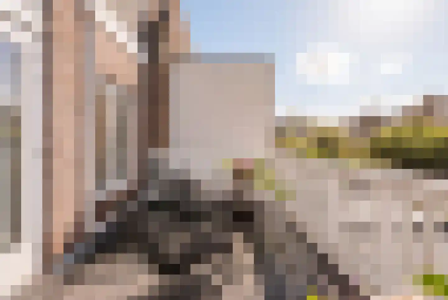 Timorstraat 125 Haarlem thumbnail 27