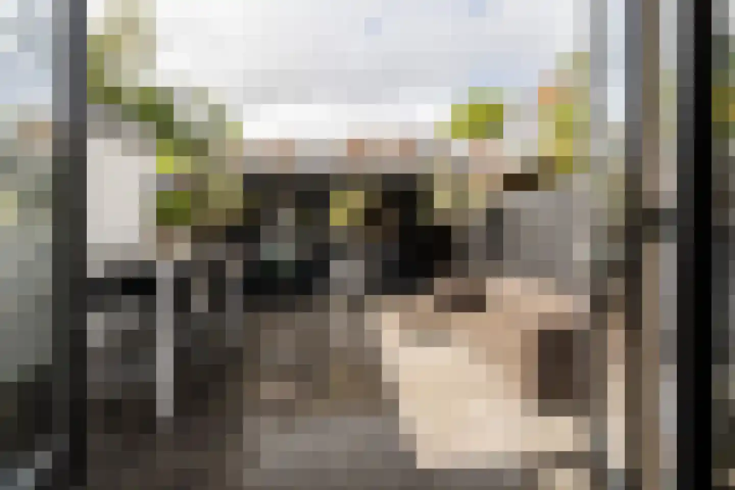 Timorstraat 125 Haarlem thumbnail 4