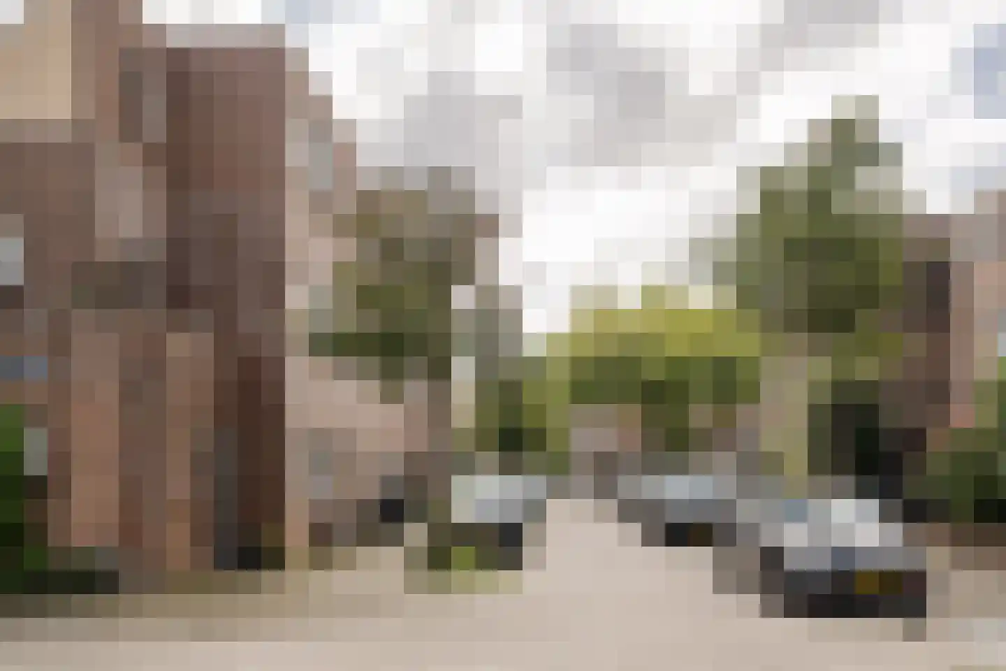 Timorstraat 125 Haarlem thumbnail 44