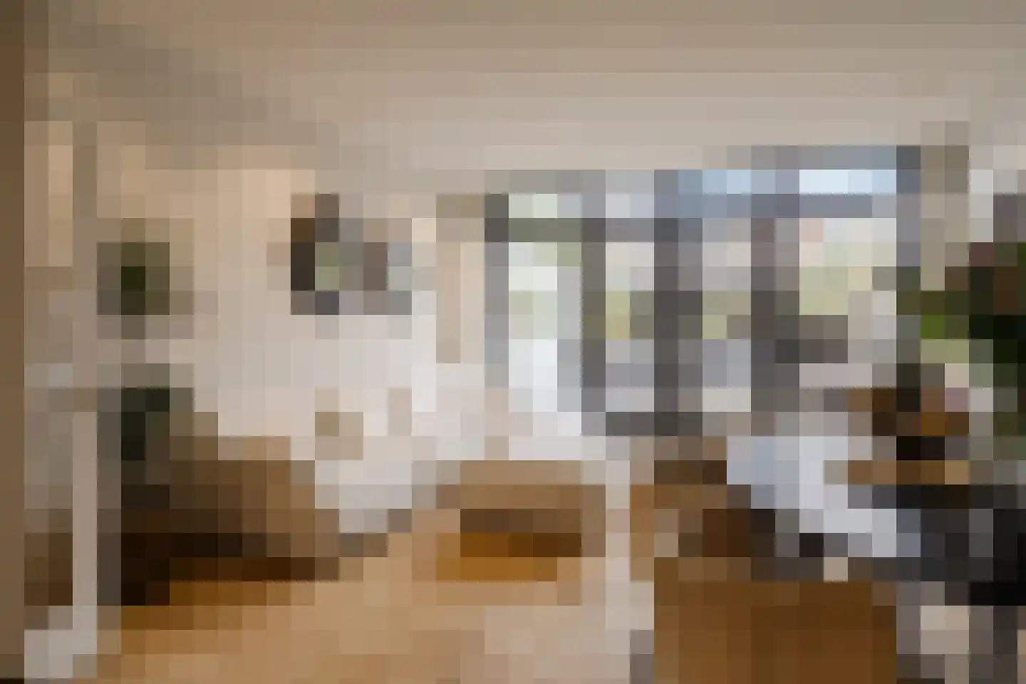 Timorstraat 125 Haarlem thumbnail 8