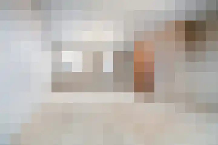 Timorstraat 142 Haarlem thumbnail 29