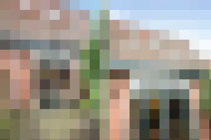 Timorstraat 142 Haarlem thumbnail 31