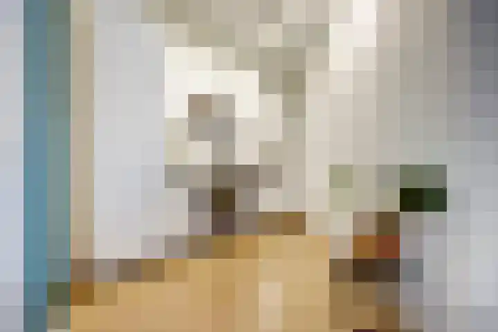 Timorstraat 144 Haarlem thumbnail 20