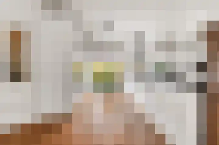 Timorstraat 151 Haarlem thumbnail 10