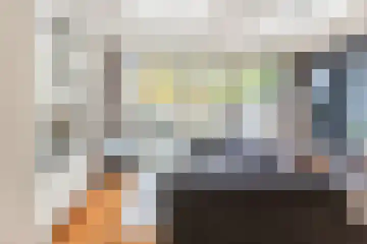 Timorstraat 151 Haarlem thumbnail 21
