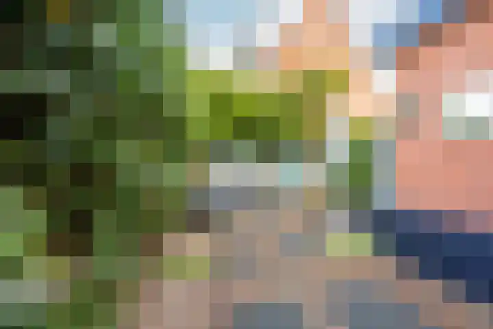 Timorstraat 17 Heemstede thumbnail 38