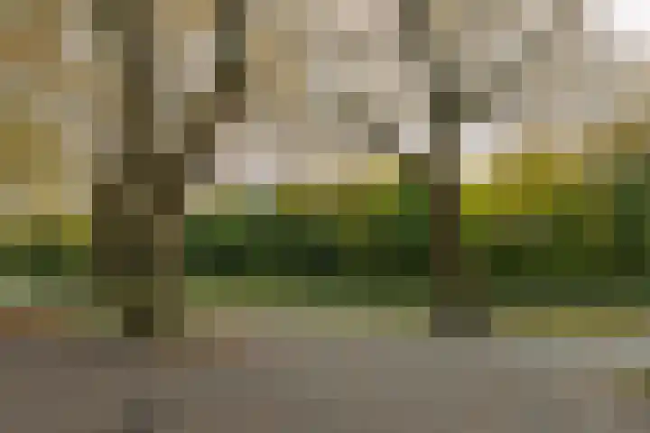 Timorstraat 19 Delft thumbnail 46