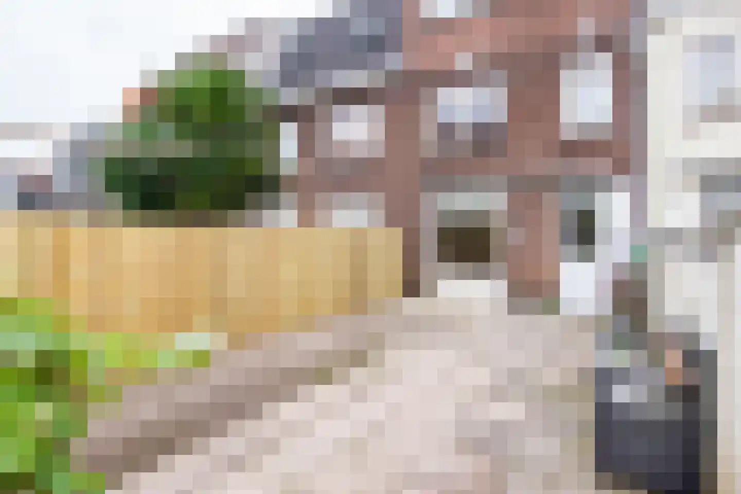 Timorstraat 197 Haarlem thumbnail 18