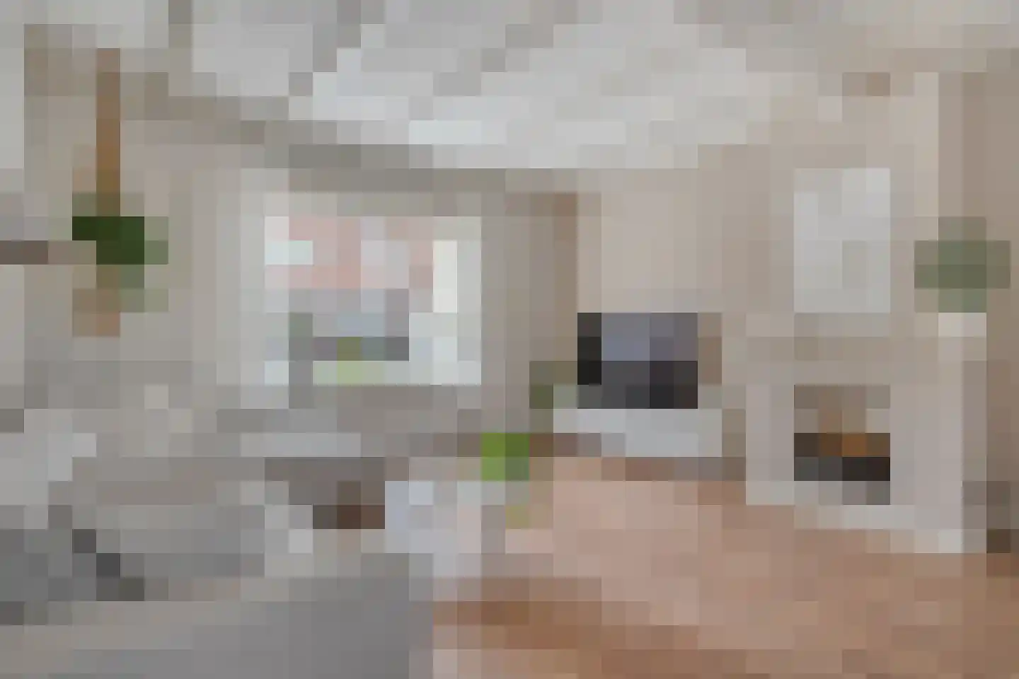 Timorstraat 2 Meppel thumbnail 14